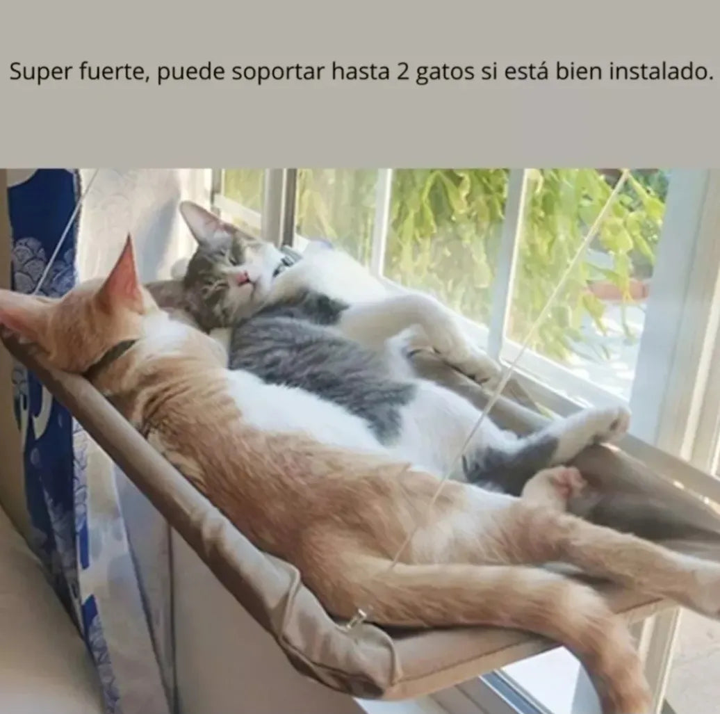 Mirador Felino