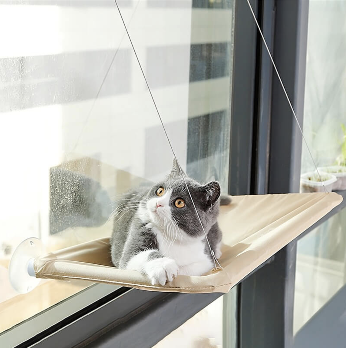 Mirador Felino